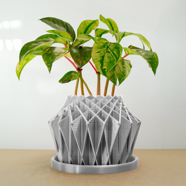 Galaxy Groove Plant Pot