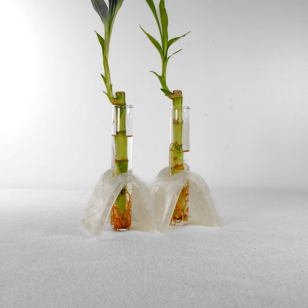 Arch Wave Propagation Station