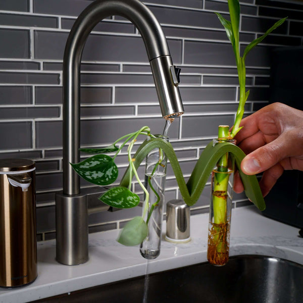 Arch Wave Propagation Station