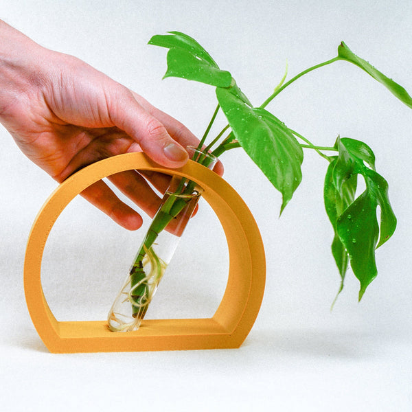 Half-Moon Propagation