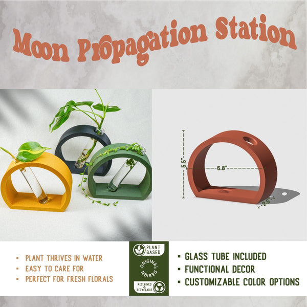 Half-Moon Propagation