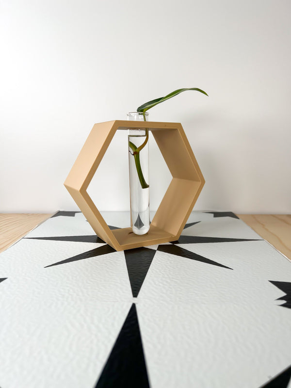 Hexagon Propagation Station