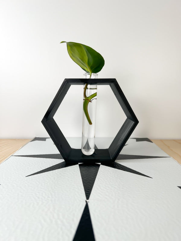 Hexagon Propagation Station