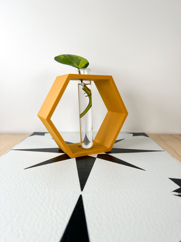 Hexagon Propagation Station