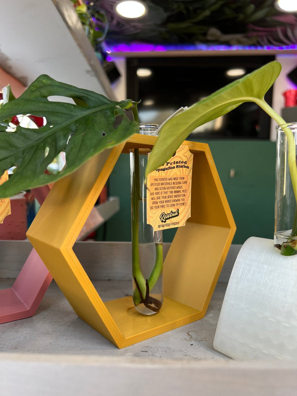 Hexagon Propagation Station