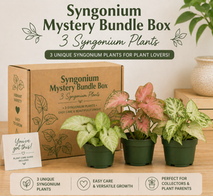 How to Care for Syngonium Plants