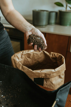 Choosing Soil For Your Plant