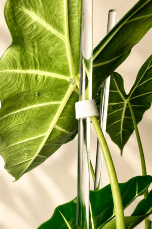 Other Plant Accessories