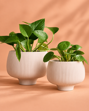 Planters & Pots