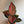 Aglaonema 'Ruby Ray'