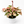 Syngonium Neon Pink