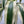 XL Dracaena fragrans ‘White’ 10” Pot – Large Variegated Tropical Houseplant live plant