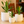 3-Piece White Stoneware Planter Pot Set with Ribbed Texture