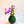 Kokedama With Mini Orchid