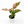 Syngonium Pink Splash