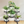 DecorBites™ 4-Wheel Plant Stand with 6 Pots