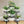 DecorBites™ 4-Wheel Plant Stand with 6 Pots