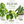 Rehab Plants - Plants to Rescue & Revive