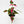 Alternanthera 'Party Time'