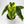 Variegated Philodendron Burle Marx