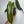 Philodendron Spiritus Sancti