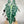 Alocasia Polly