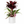 Low Light Combination Planter - Cordyline, Dracaena & Tradescantia
