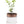Bronze White Ceramic Plant Pot and Saucer