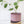 Burgundy Ceramic Plant Pot and Saucer