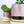 Burgundy Ceramic Plant Pot and Saucer