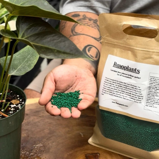 Slow Release Fertilizer for Indoor Plants - 1 Year Long-Lasting Nourishment FERTILIZANTE