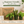 Beginner Friendly Mystery Bundle Box - 3 Easy-Care Plants