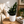 Zamioculcas 'ZZ Black Raven'