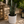 Euphorbia Trigona (Red)