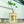 Conduit Plant Stand with Planter & Catch
