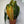 Philodendron Melanochrysum