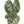 Philodendron Majestic