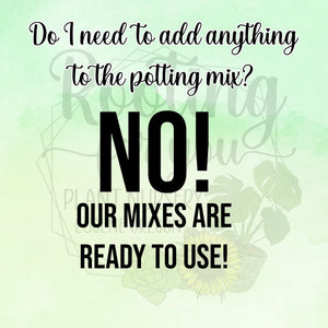 Jasmine Premium Potting Mix