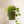 Ender Hanging Planter