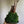 Kokedama Money Tree