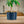 Minimal Face Planter, Small Medium Large, With Drip Tray and Great Drainage