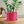 Minimal Face Planter, Small Medium Large, With Drip Tray and Great Drainage