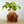 Galaxy Groove Plant Pot
