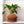 Galaxy Groove Plant Pot