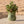 Ceramic Plant Pot with Rubber Liner - Forest Green