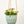 Virago Modern Hanging Planter- Grid
