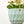 Virago Modern Hanging Planter- Grid