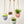 Virago Modern Hanging Planter- Grid