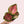 Pink Plant Mystery Bundle Box - 3 Pink Plants