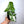 Syngonium Albo